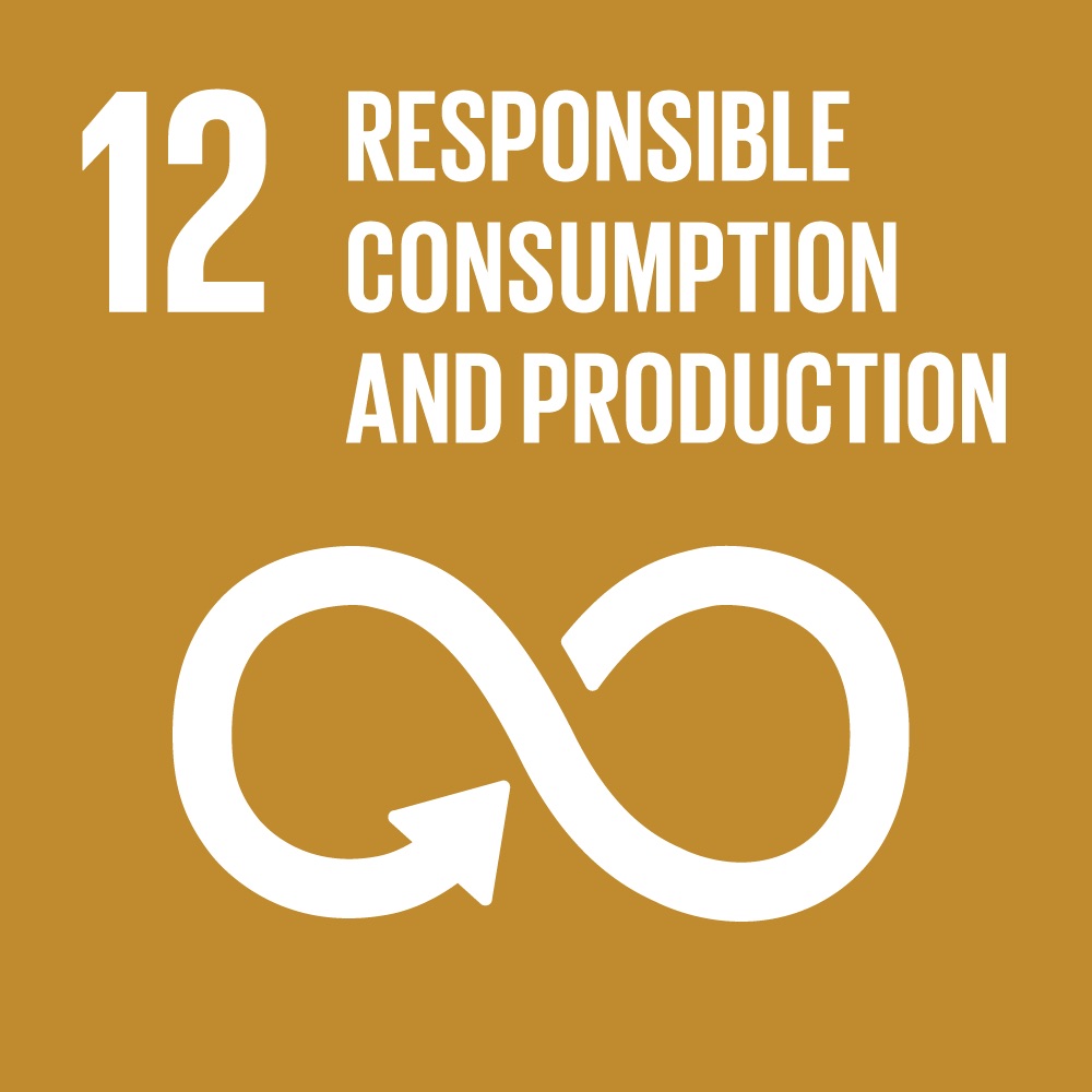 Decent Responsible Consumption and Production Sustainable Development Goal