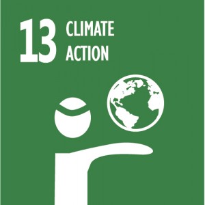 Climate Action Sustainable Development Goal