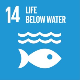 Life Below Water Sustainable Development Goal