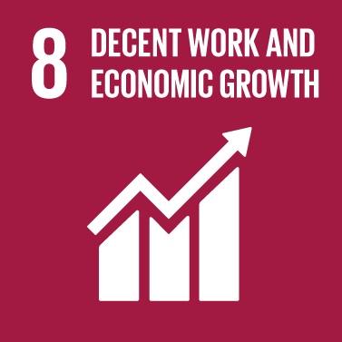 Decent Work and Economic Growth Sustainable Development Goal