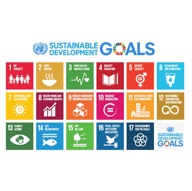 Sustainable Development Goals: 17 Goals to Transform Our World