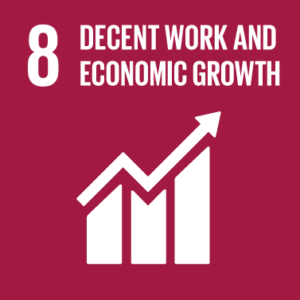 SGG 8: Decent work and economic growth